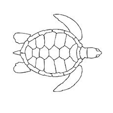 Small sea turtle tattoo 0055