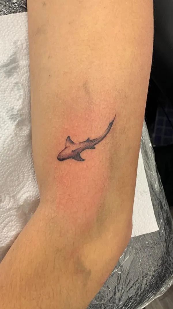 small shark tattoo designs