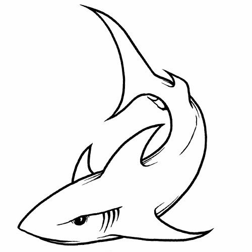 small shark tattoo 0024