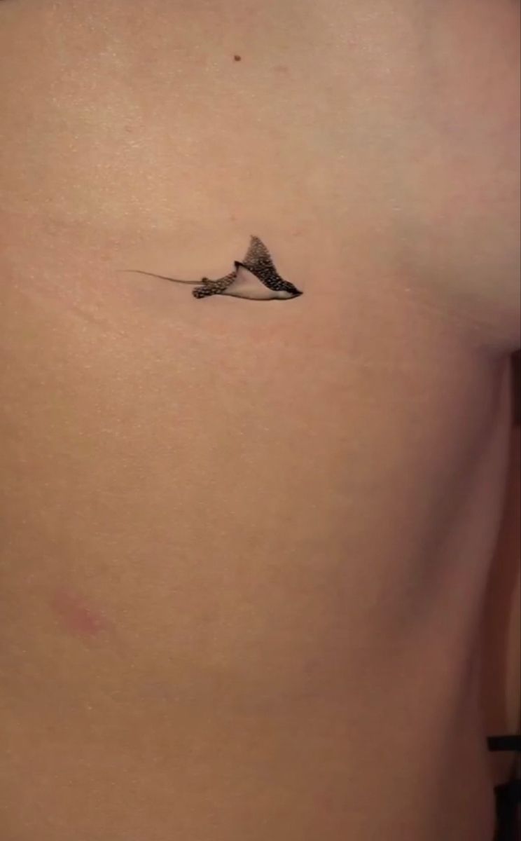 small shark tattoo 0029