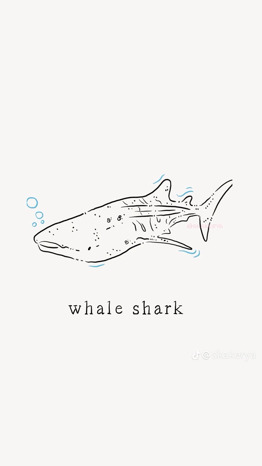 small shark tattoo 0030