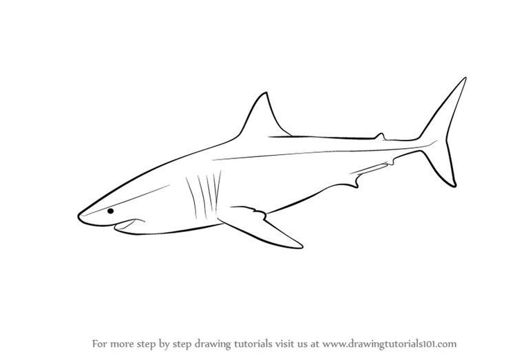 small shark tattoo 0058