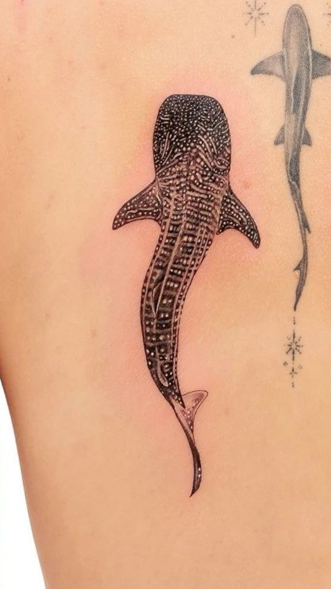 small shark tattoo 0062