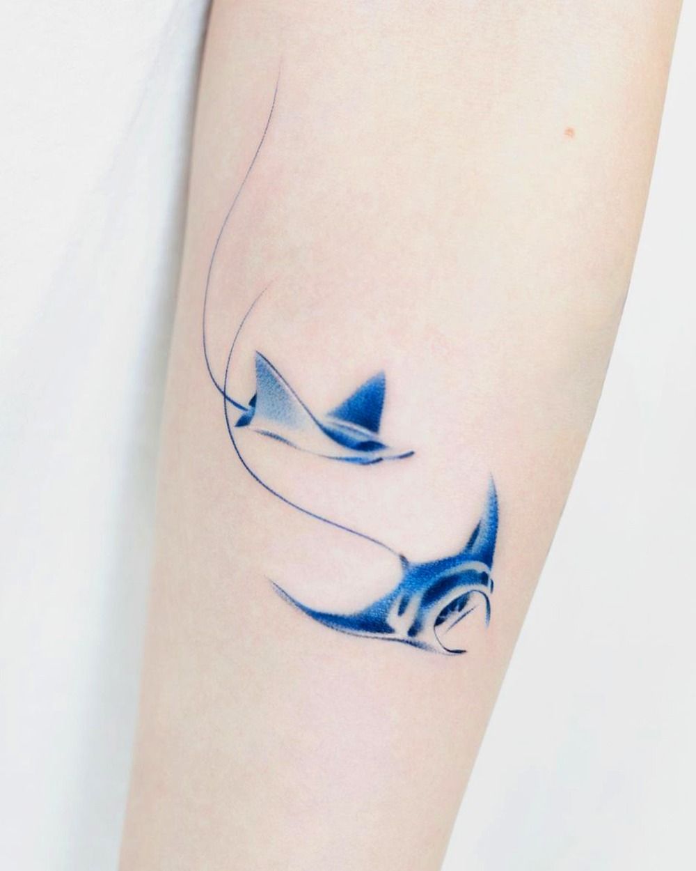 small shark tattoo 0091