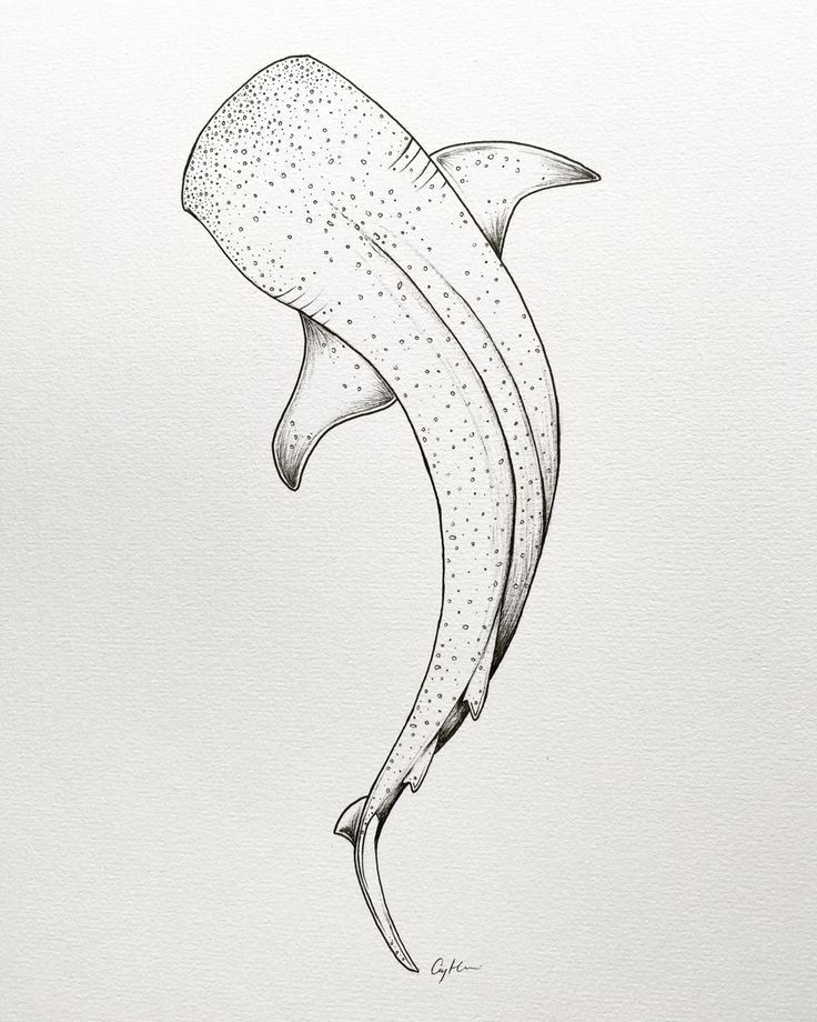 small shark tattoo 0092