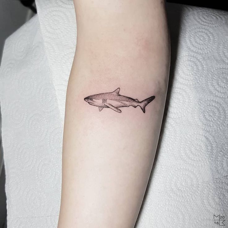 small shark tattoo 0094