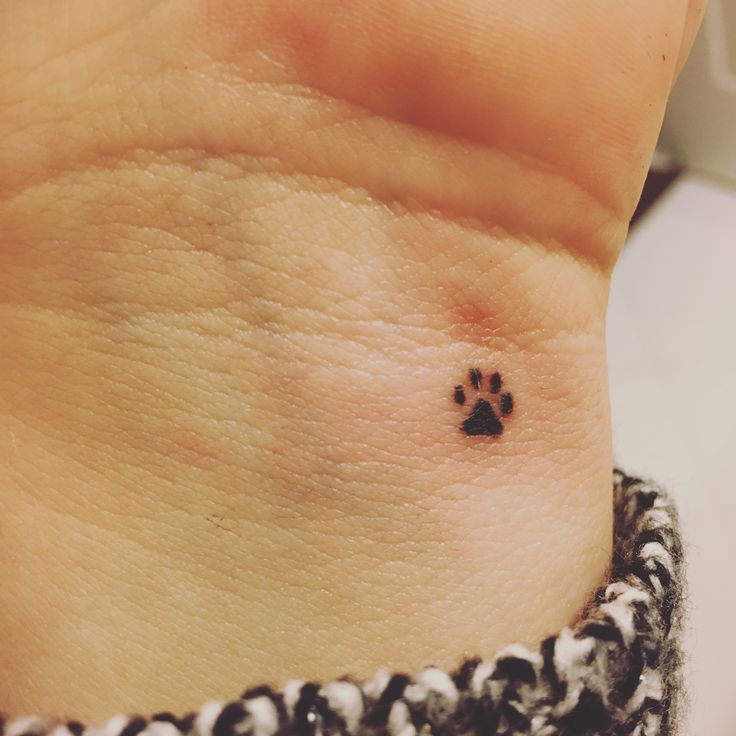 small simple dog memorial tattoo 0084