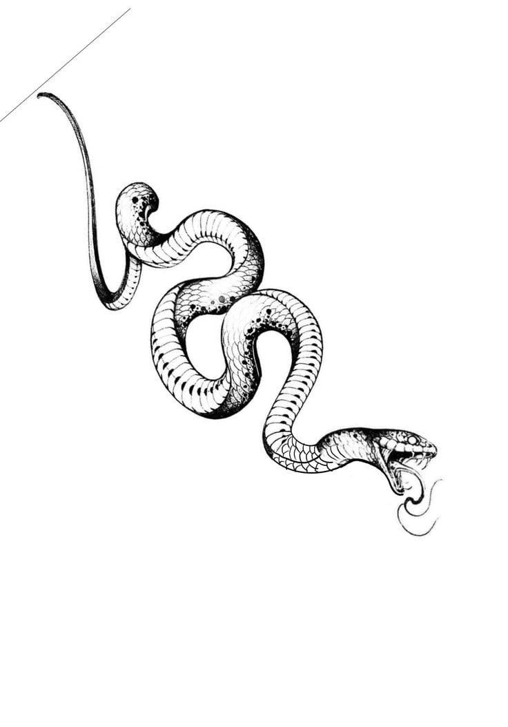 small snake tattoo 0039