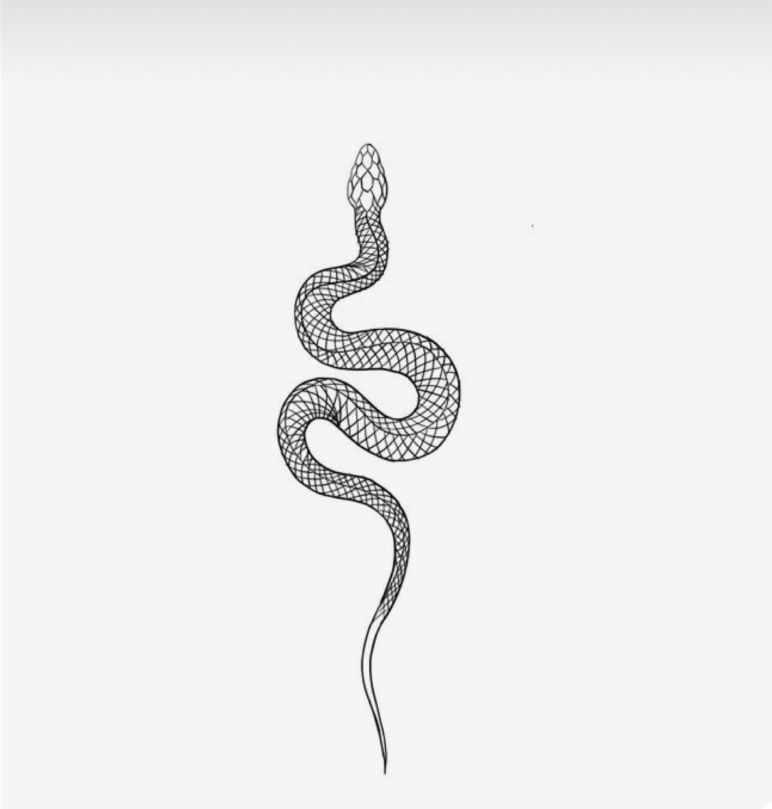 small snake tattoo 0063