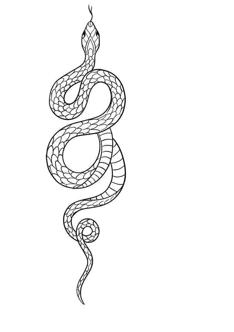 small snake tattoo 0066