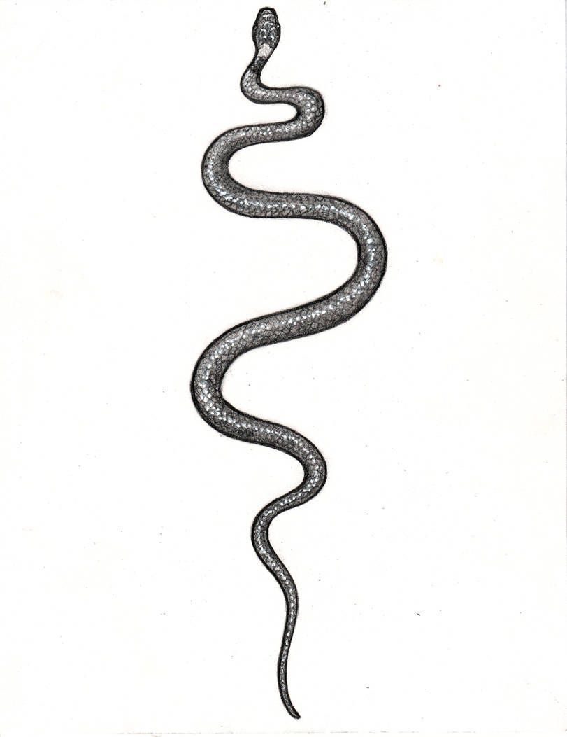 small snake tattoo 0098