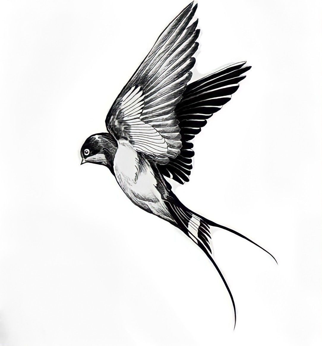 small sparrow tattoo 0021