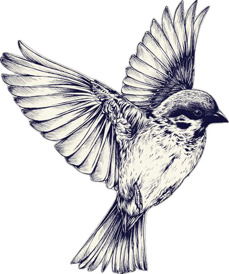 small sparrow tattoo 0068