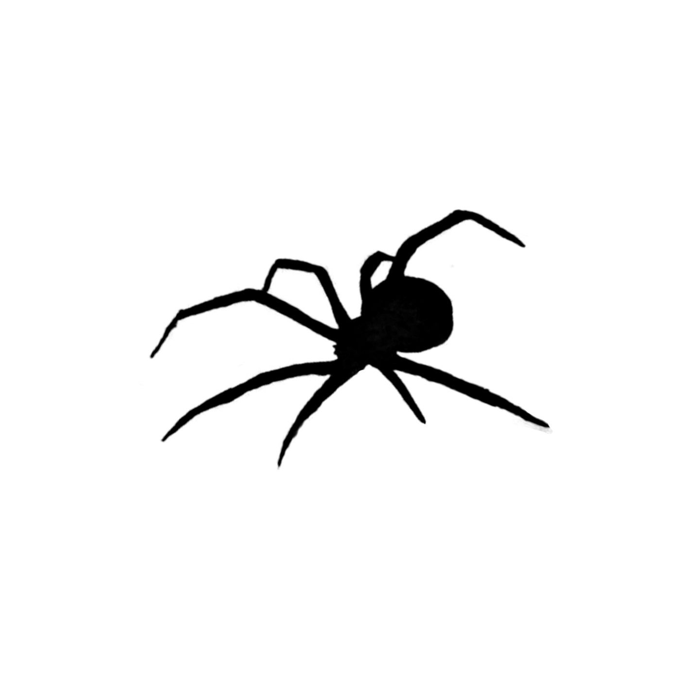 small spider tattoo 0017