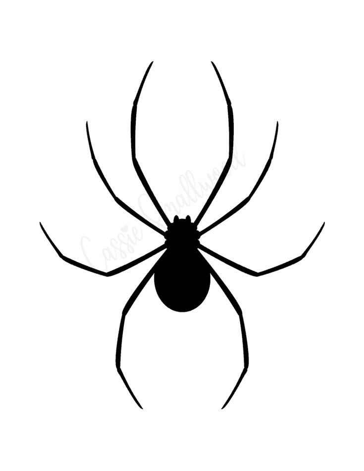 small spider tattoo 0024