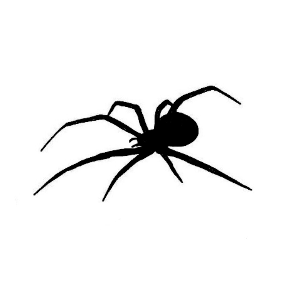 small spider tattoo 0030