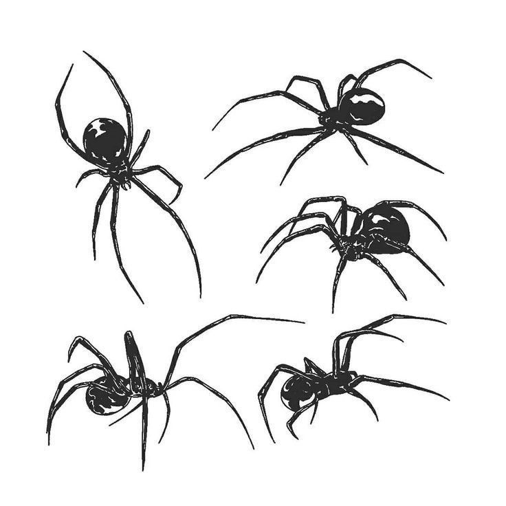 small spider tattoo 0034