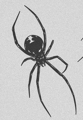 small spider tattoo 0045