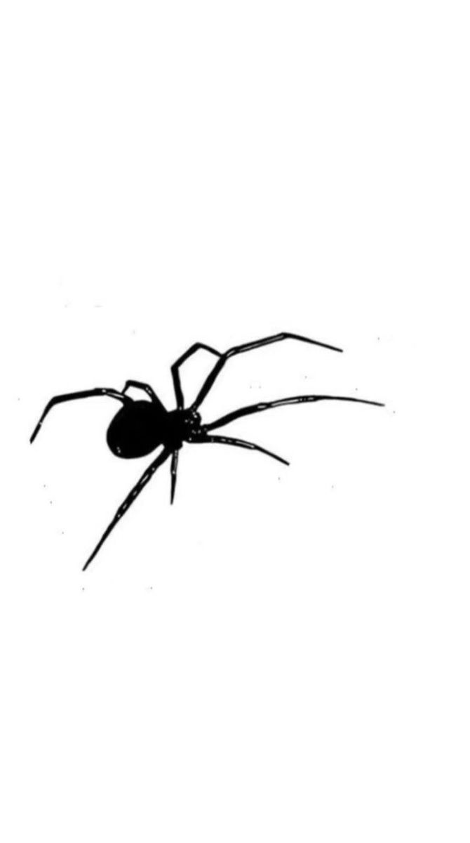 small spider tattoo 0071