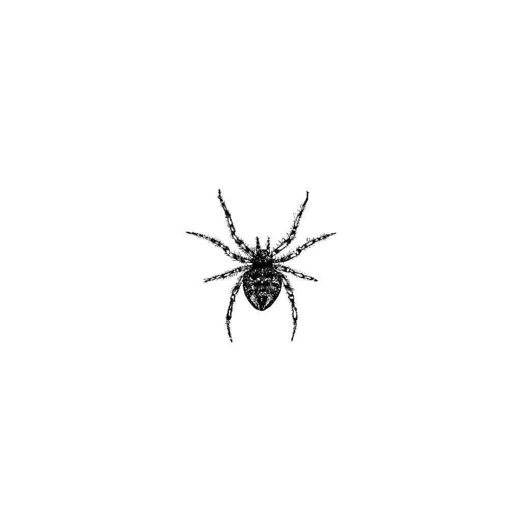 small spider tattoo 0073