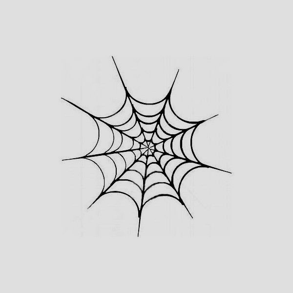 small spider tattoo 0090