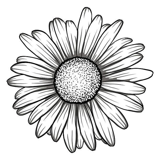 Small sunflower tattoo black and white 0062