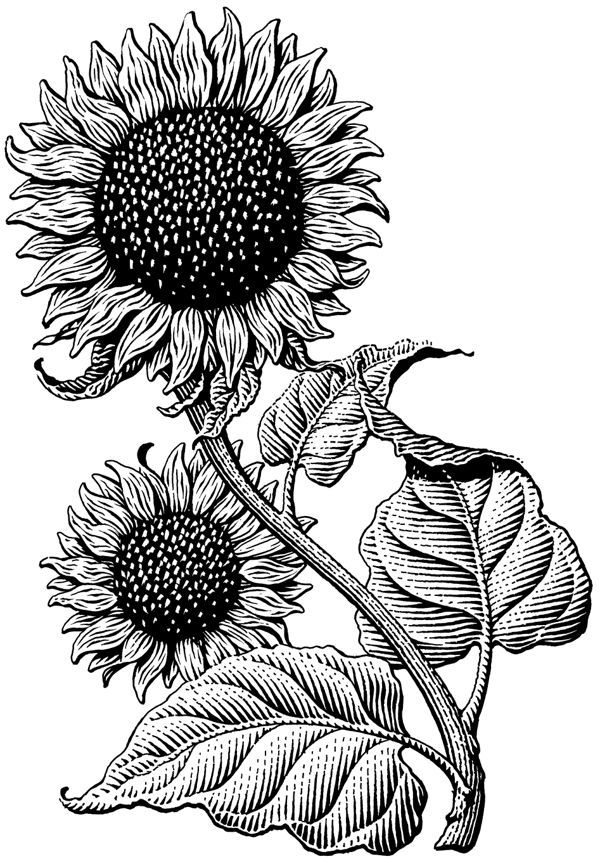 Small sunflower tattoo 0056