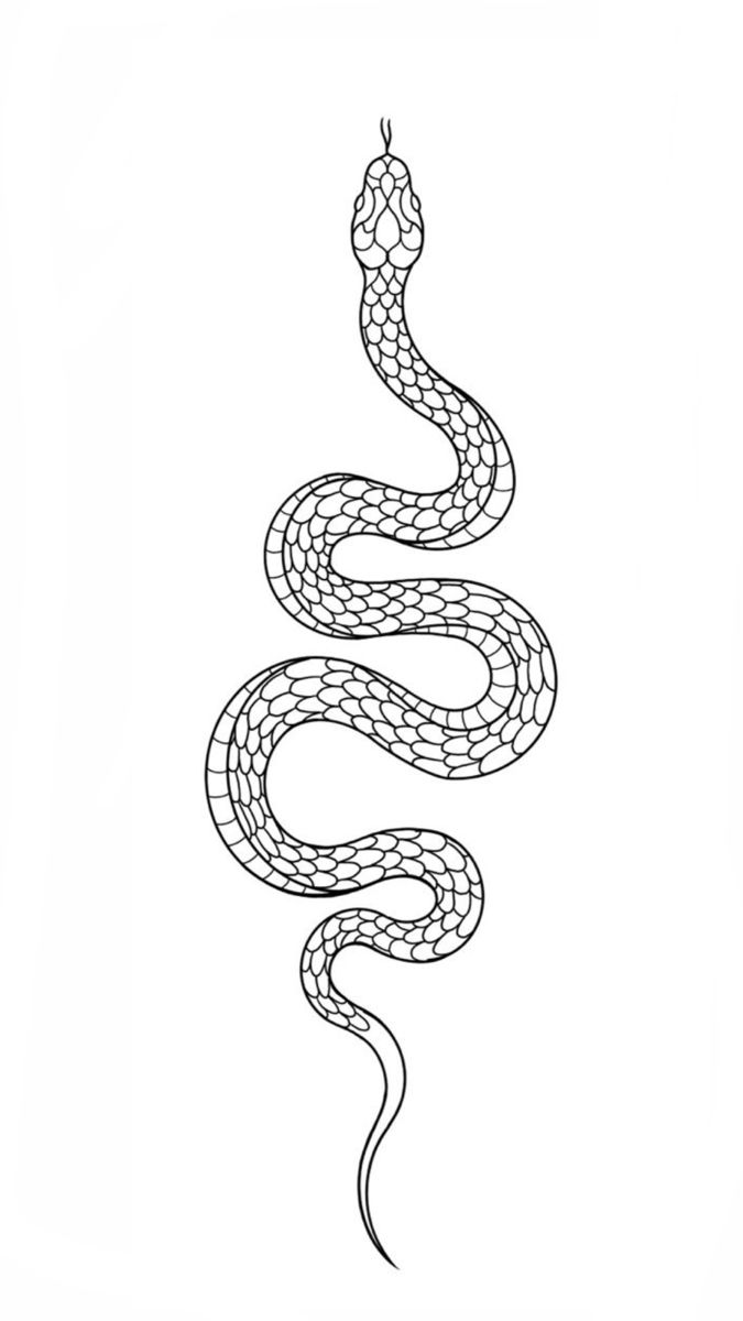 snake tattoo ideas 0018