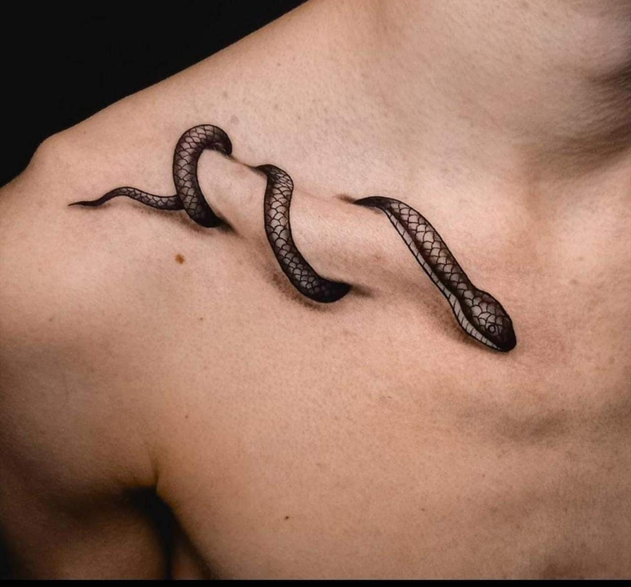 snake tattoo ideas 0019