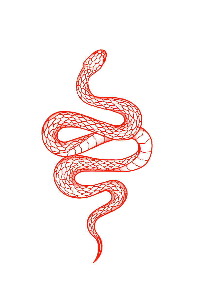 snake tattoo ideas 0026