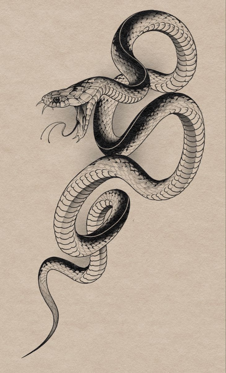 snake tattoo ideas 0032