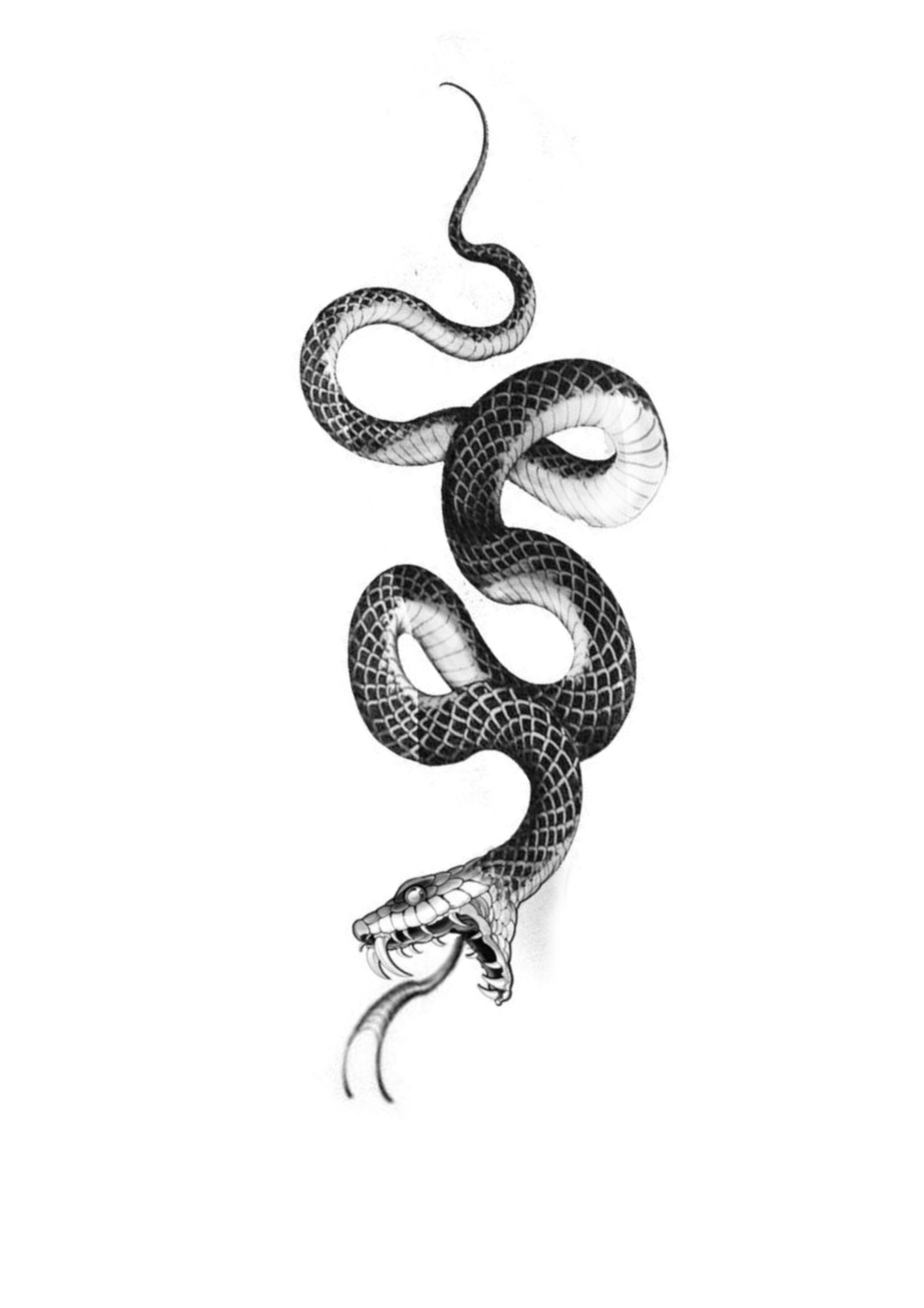 snake tattoo ideas 0036