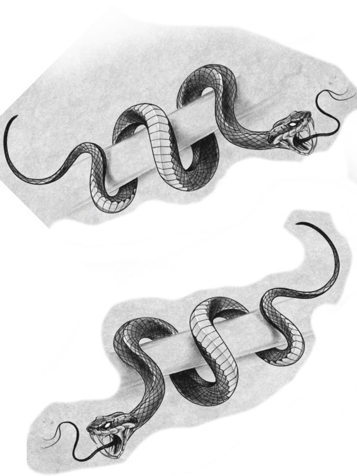 snake tattoo ideas 0049