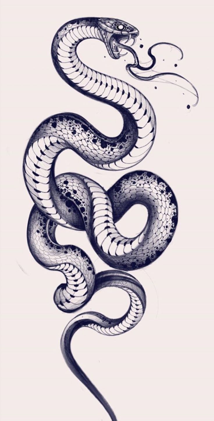 snake tattoo ideas 0050