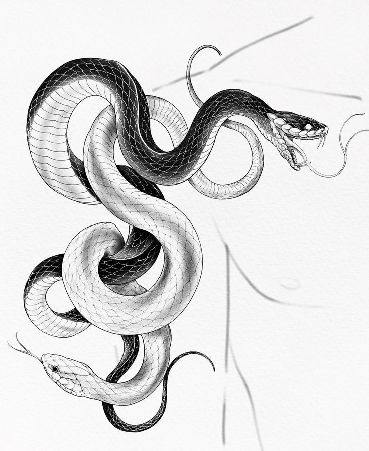 snake tattoo ideas 0056