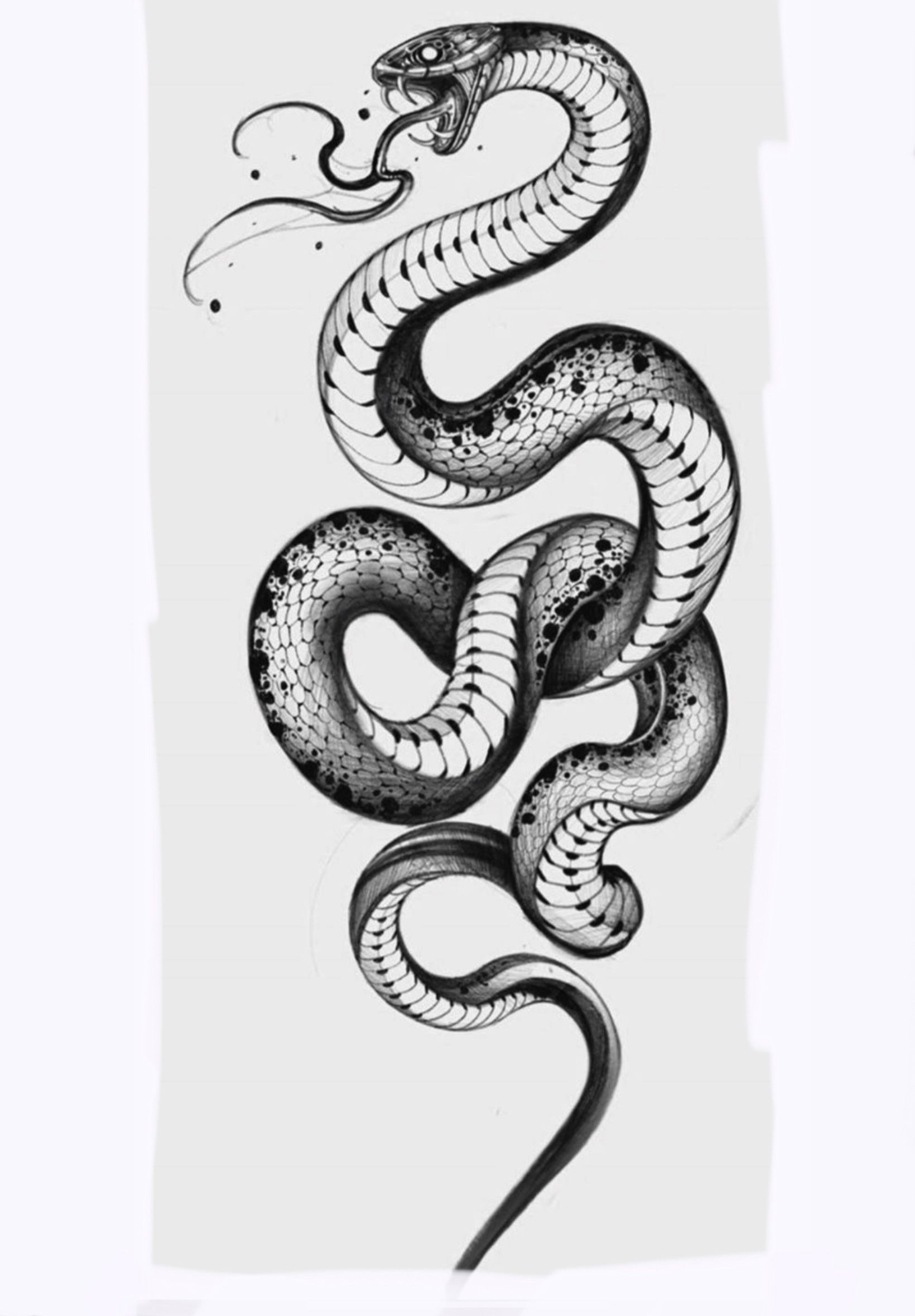 snake tattoo ideas 0065