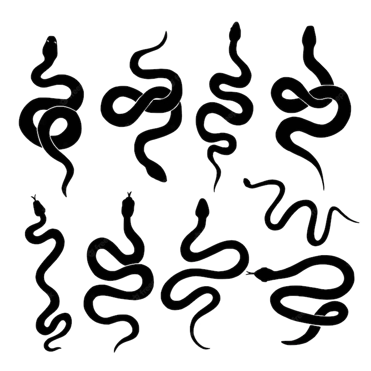 snake tattoo ideas 0068