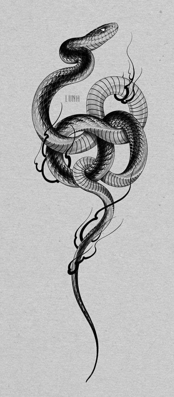 snake tattoo ideas 0072