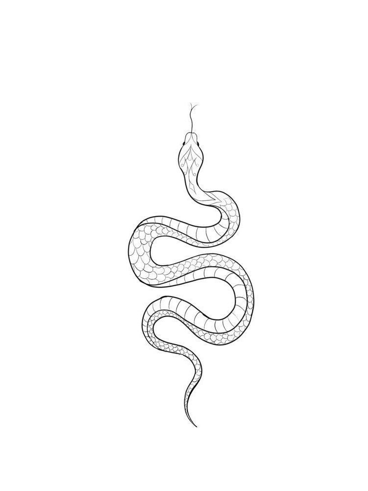 snake tattoo ideas 0082