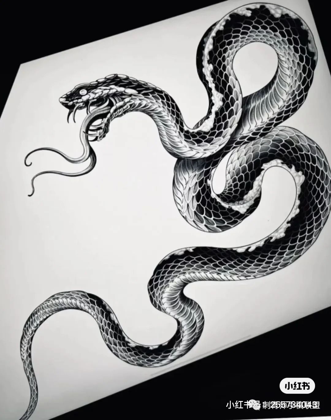 snake tattoo ideas 0099