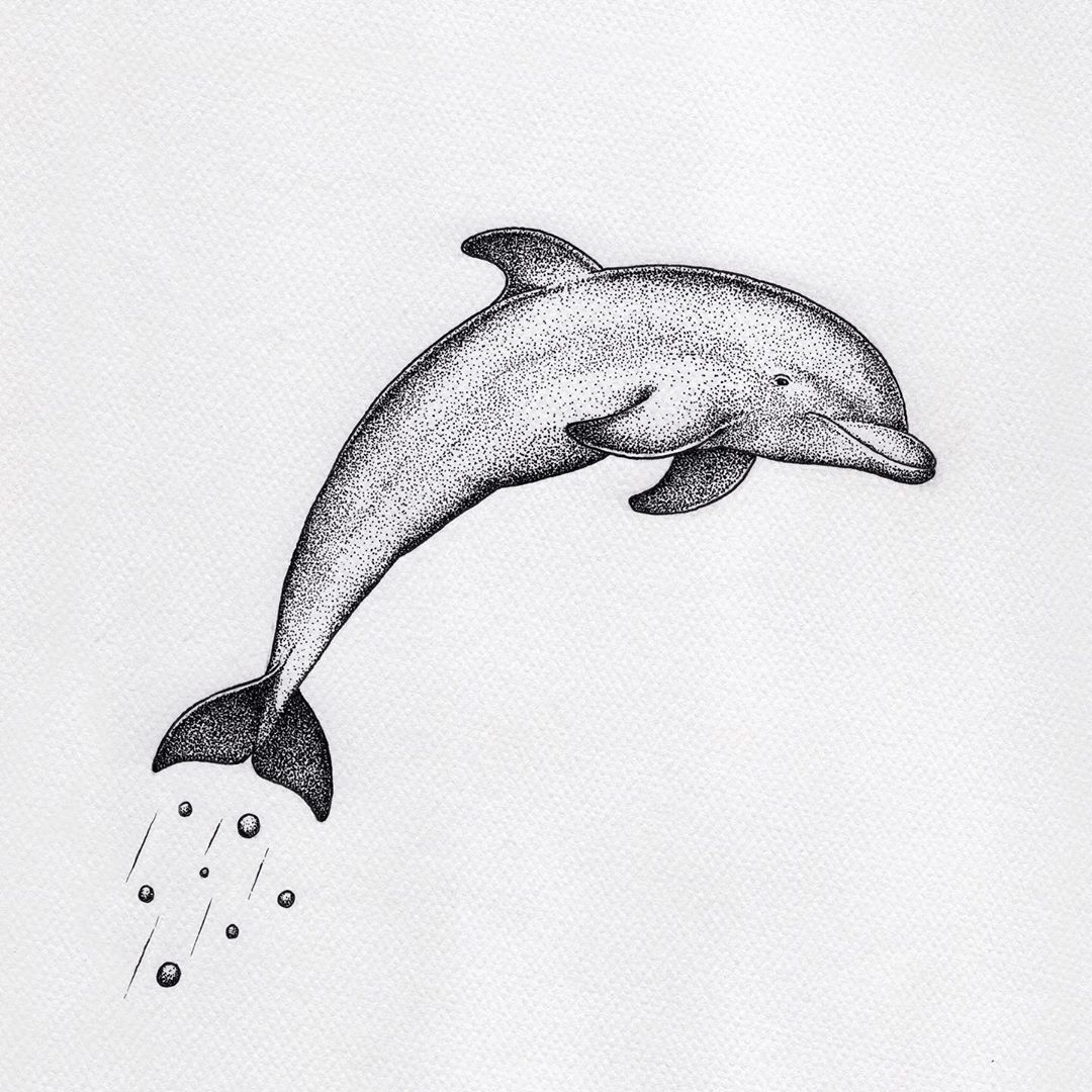 tattoo dolphin ideas 0015