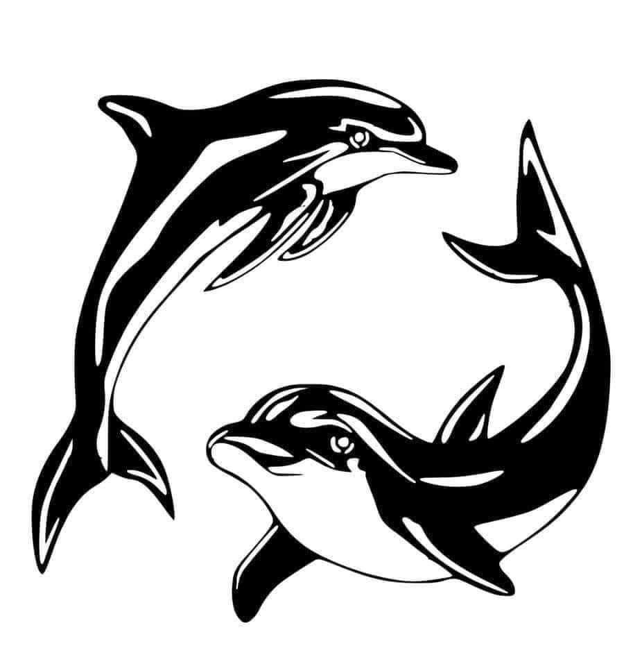 tattoo dolphin ideas 0022