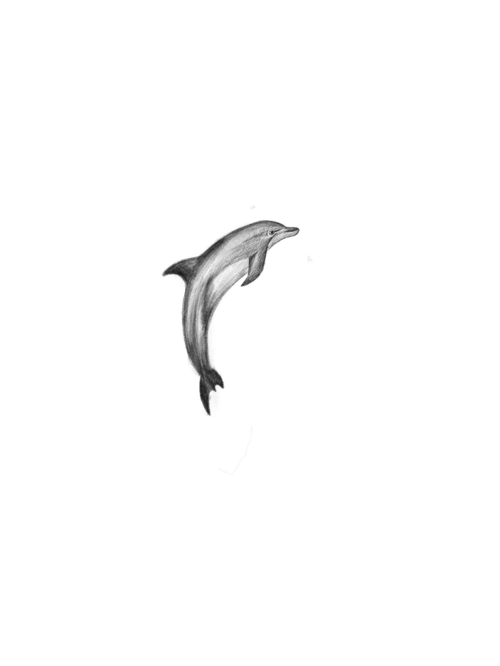 tattoo dolphin ideas 0031