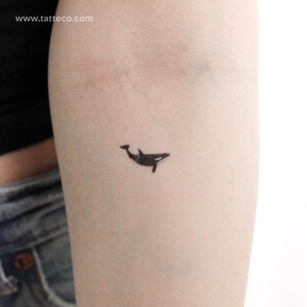 tattoo dolphin ideas 0032