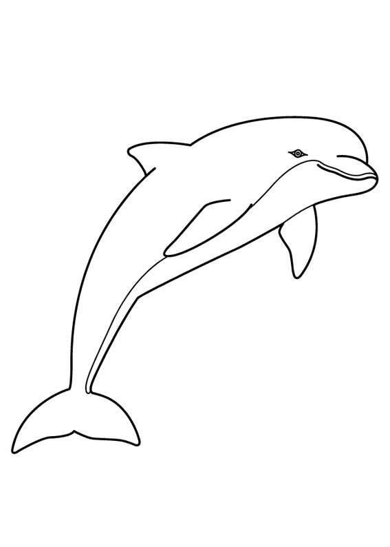 tattoo dolphin ideas 0035