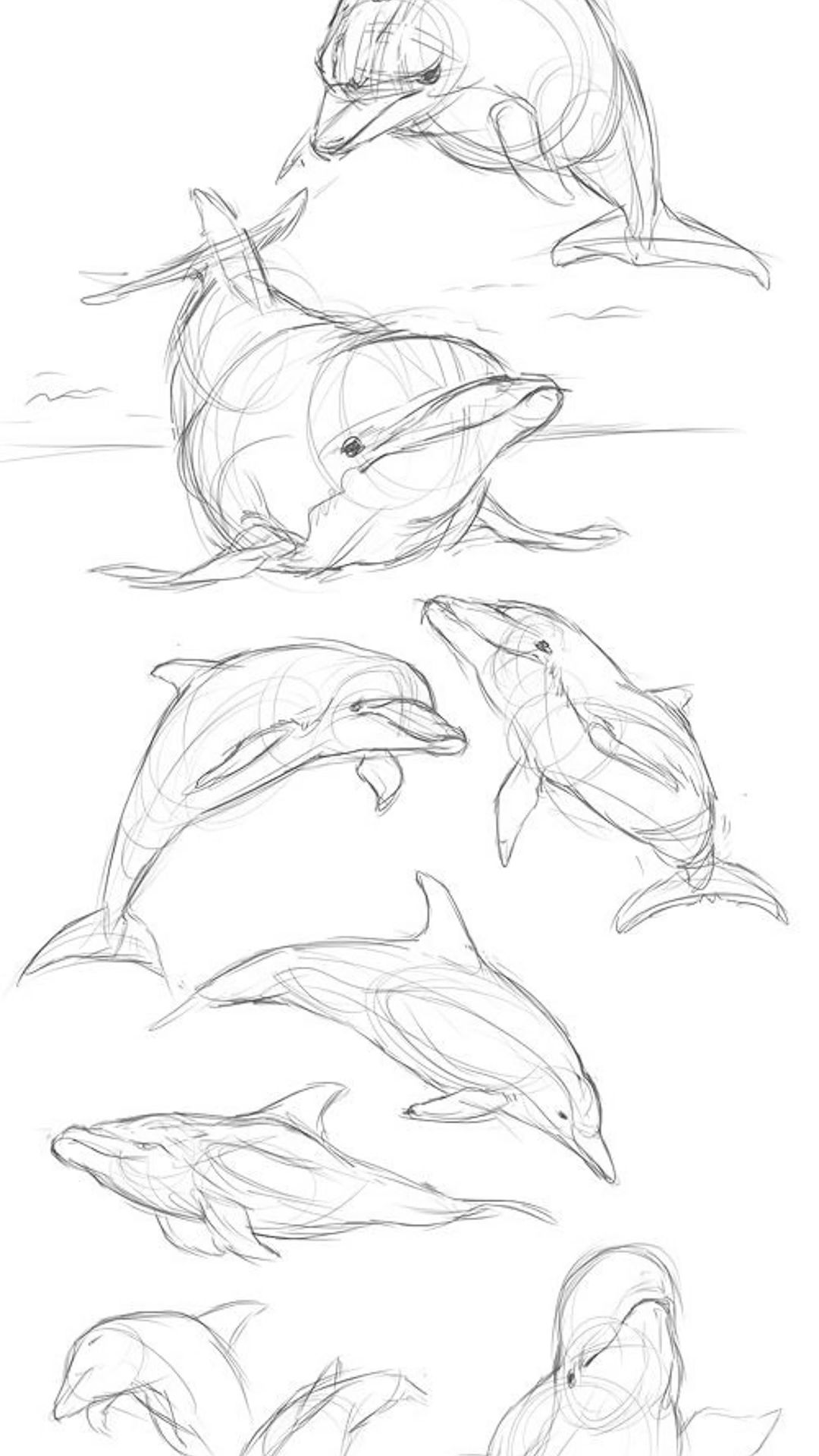 tattoo dolphin ideas 0043