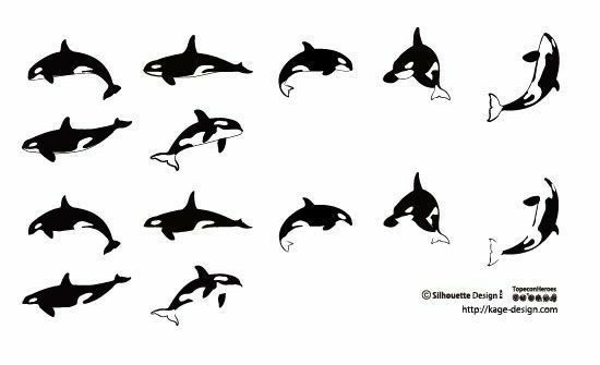 tattoo dolphin ideas 0057