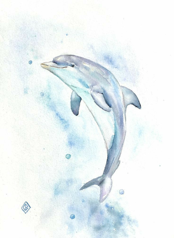 tattoo dolphin ideas 0065