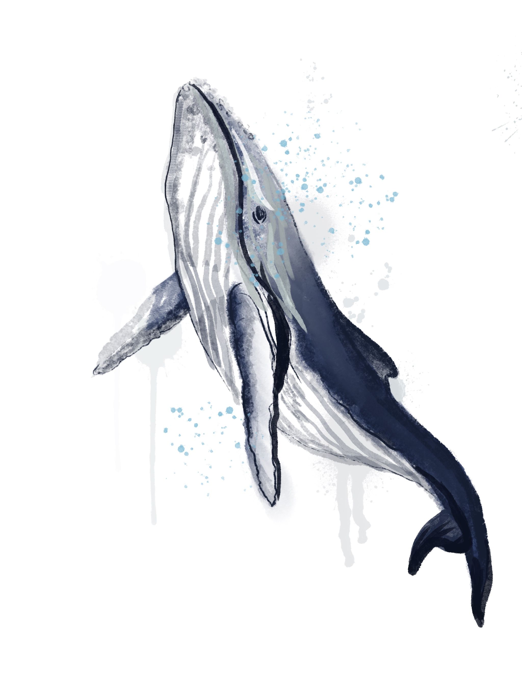 tattoo dolphin ideas 0068