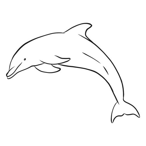 tattoo dolphin ideas 0083